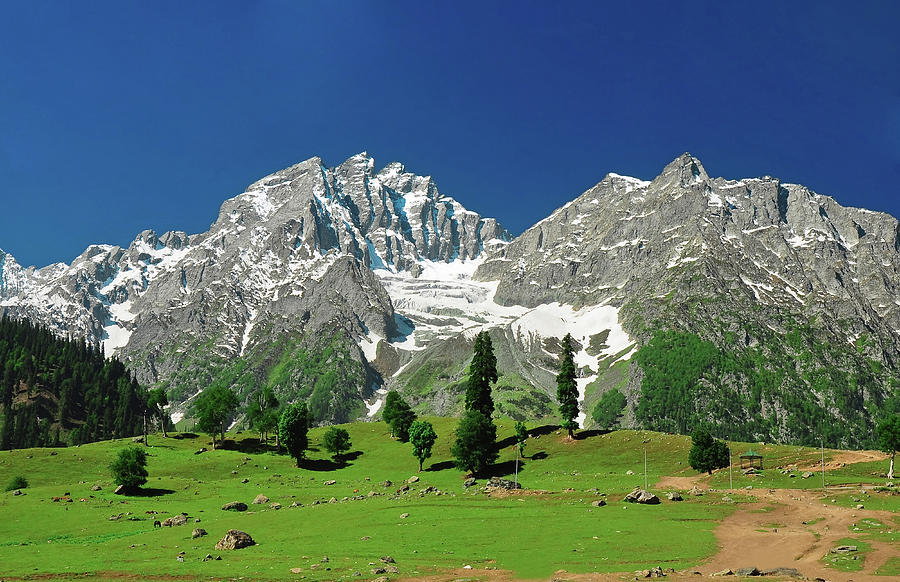 sonamarg-jammu-and-kashmir-india-shakyasom-majumder.jpg